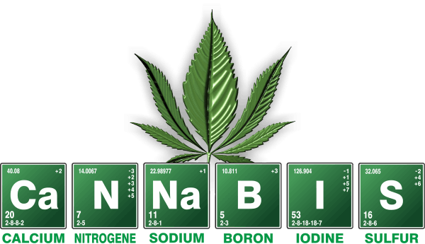Organisch Leben - Cannabis und CBD Produkte Enpfehlungen