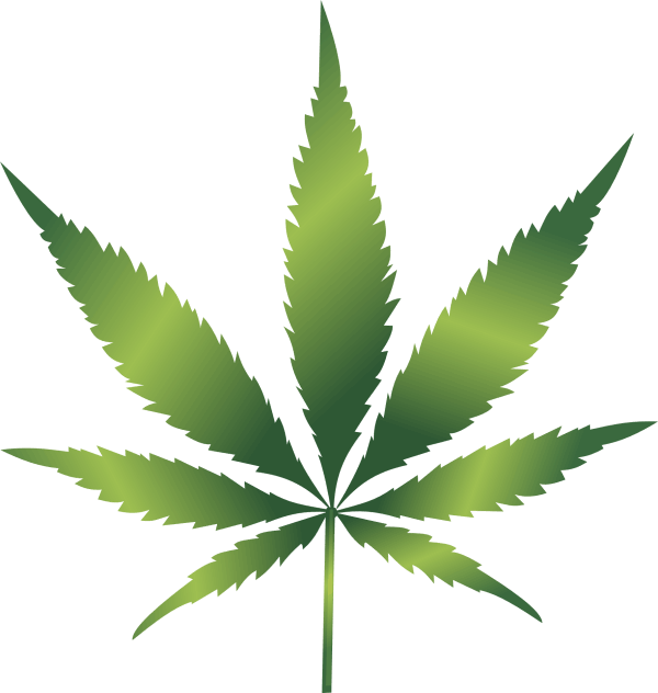 Organisch Leben - Cannabis und CBD Produkte Enpfehlungen